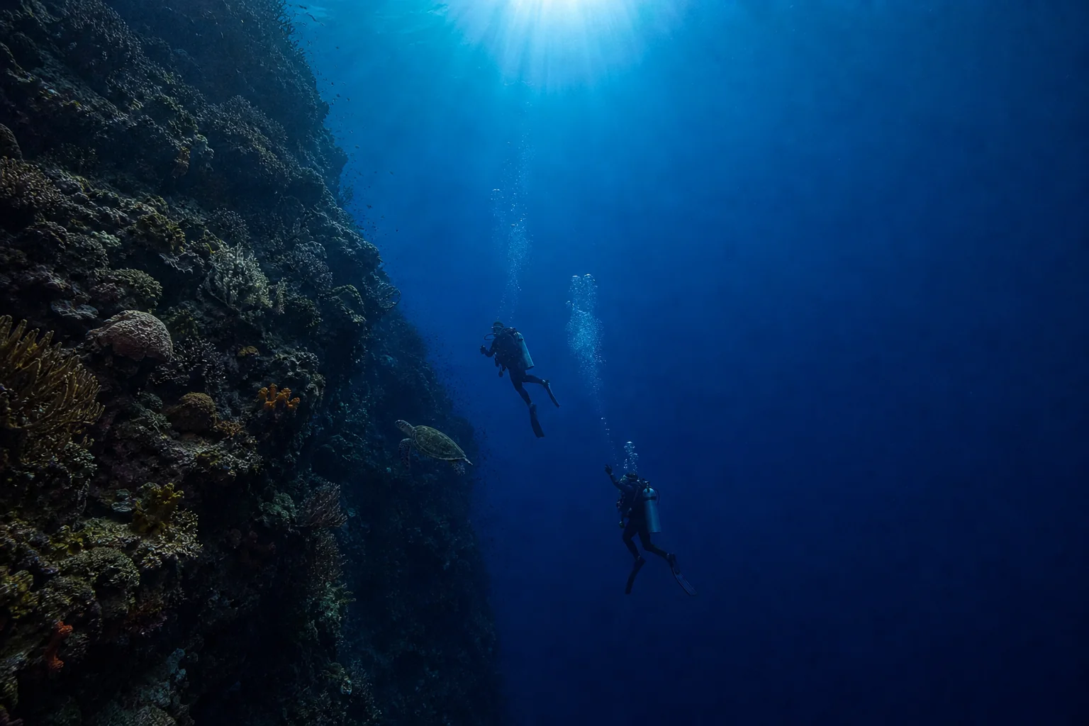 Two scuba divers beside a deep reef wall